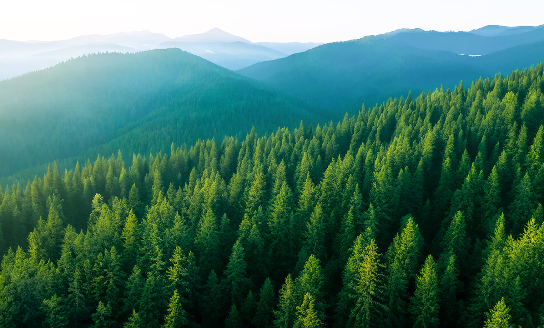 法律及び規則の遵守