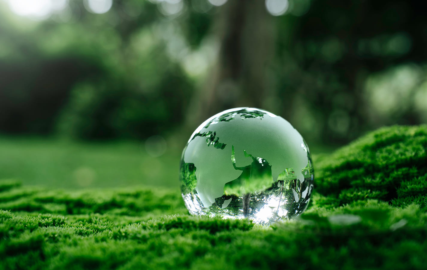 廃棄什器･廃プラ製品のリサイクル