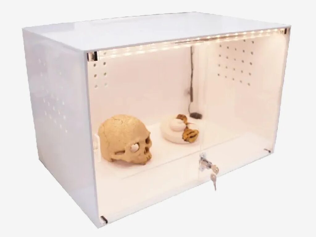 ボールパイソン用オリジナルは虫類飼育ケージ